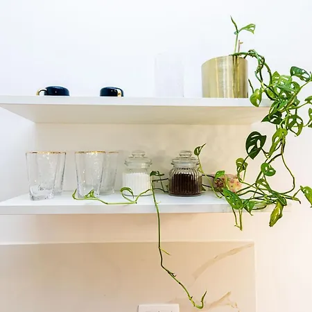 Beautiful In Center Apartament *