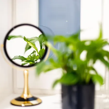 Beautiful In Center Lägenhet Split