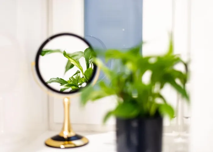 Beautiful In Center Apartment Split